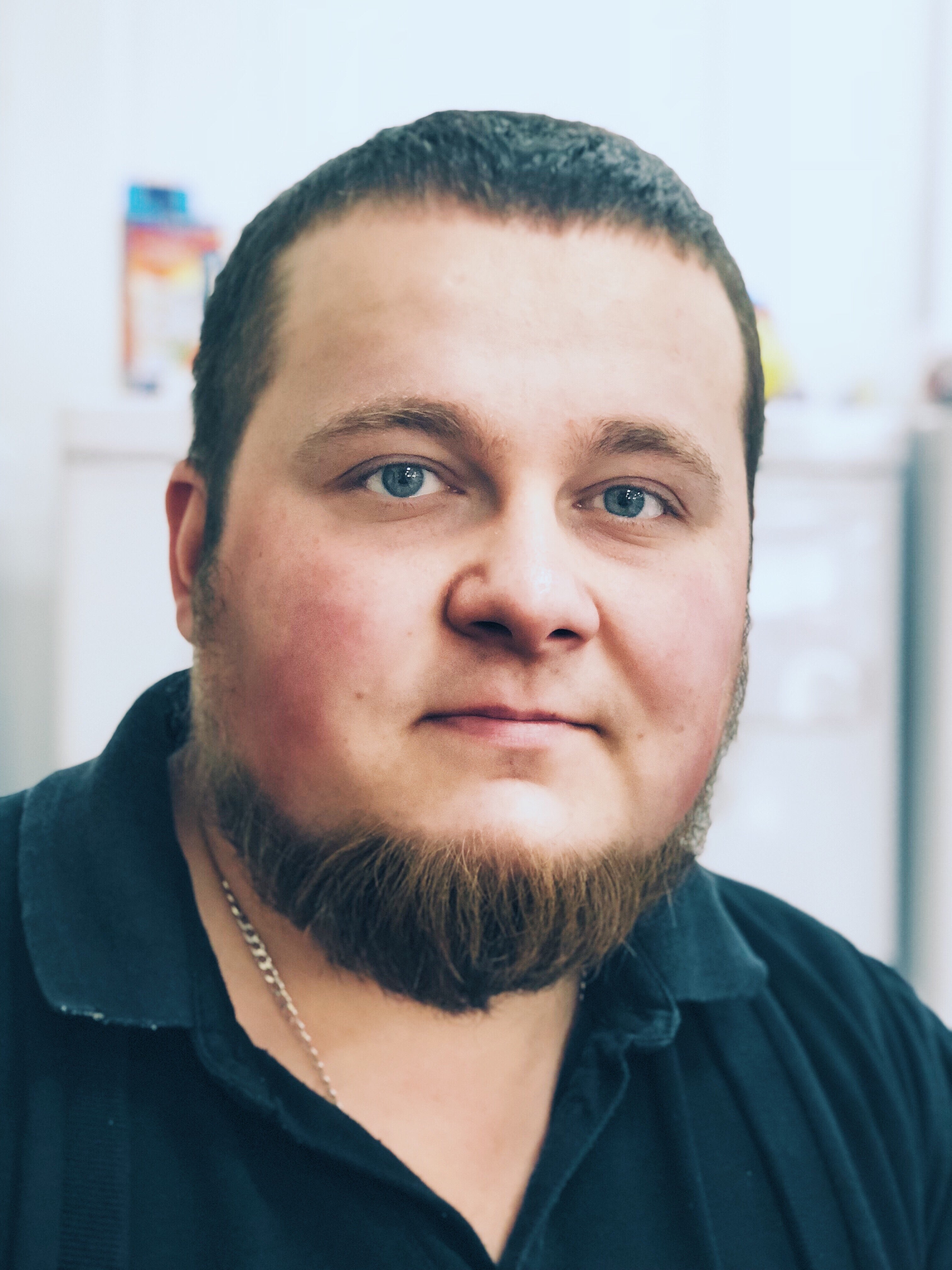 Describes the appearance of the image